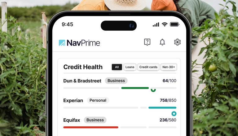Nav Prime Credit Health credit score view on phone